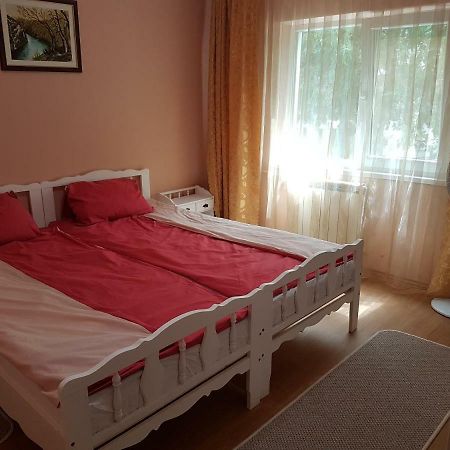 Apartament Apartament Aura Oradea Zewnętrze zdjęcie